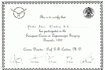 European course on Laparoscopic surgery