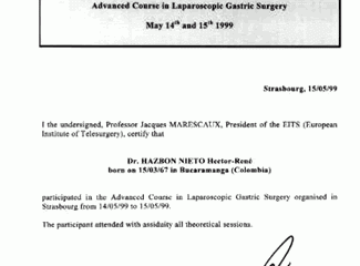 Advanced course in laparoscopic gastric surgery